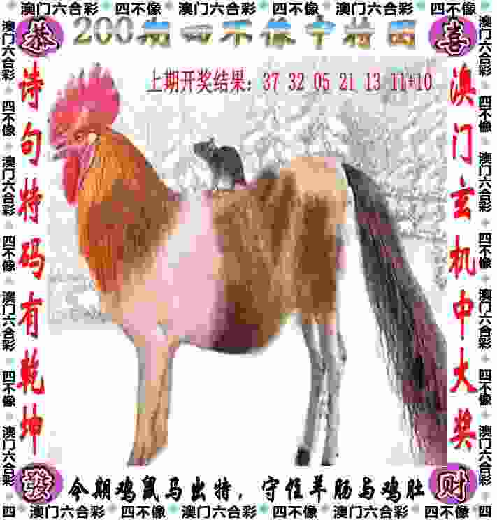 >免费4949免费资料大全