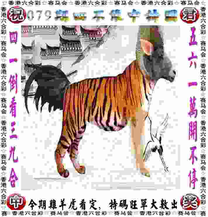 中国拳手徐灿将迎首场IBO国际头衔卫冕战